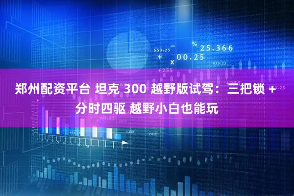 郑州配资平台 坦克 300 越野版试驾：三把锁 + 分时四驱 越野小白也能玩